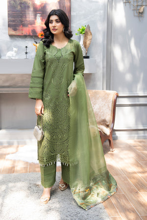 3 PC Ready To Wear Green Cambric -AR-3604(OLIVE) - ArfaRiwaj
