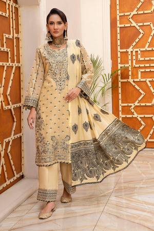 3 Pcs Skin Zari Jacquard Ready To Wear - AR-3641 - ARFARIWAJ