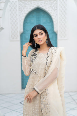 3 Piece Organza Suit RTW - IN-217-Mirror Addiction - ARFARIWAJ