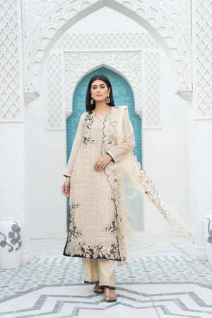 3 Piece Organza Suit RTW - IN-217-Mirror Addiction - ARFARIWAJ