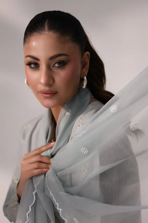 SAGA 3 Pcs Grey Suit Ready To Wear -AR-3356-Saga - ARFARIWAJ