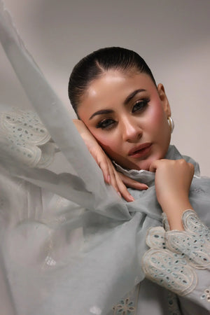 SAGA 3 Pcs Grey Suit Ready To Wear -AR-3356-Saga - ARFARIWAJ