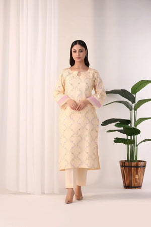 SHADAB 2PC Luxury Ready To Wear - AR-NP-03-shadab - ARFARIWAJ