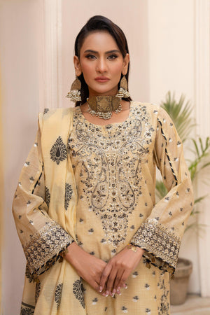 3 Pcs Skin Zari Jacquard Ready To Wear - AR-3641 - ARFARIWAJ