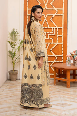 3 Pcs Skin Zari Jacquard Ready To Wear - AR-3641 - ARFARIWAJ