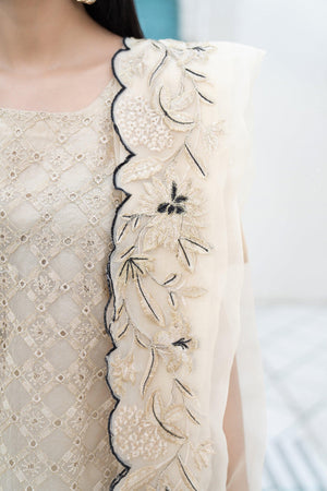 3 Piece Organza Suit RTW - IN-217-Mirror Addiction - ARFARIWAJ