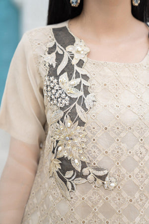 3 Piece Organza Suit RTW - IN-217-Mirror Addiction - ARFARIWAJ
