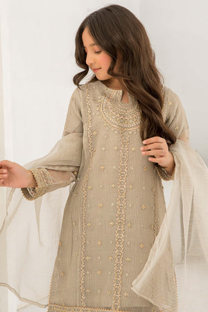 3 piece Pastel Grey Zari Organza Suit Kids - K-574 - ARFARIWAJ
