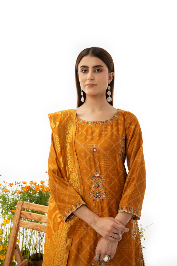 3 Piece Khadi Net Suit - AR-2888-S23 (Jhumka) - ARFARIWAJ