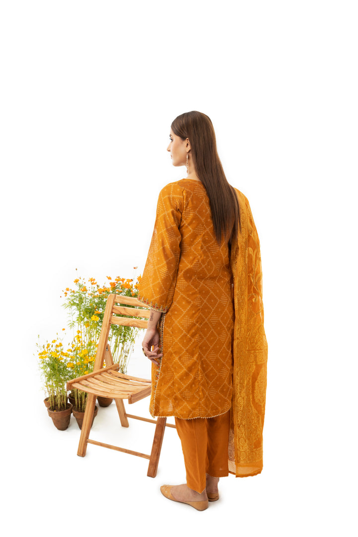3 Piece Khadi Net Suit - AR-2888-S23 (Jhumka) - ARFARIWAJ