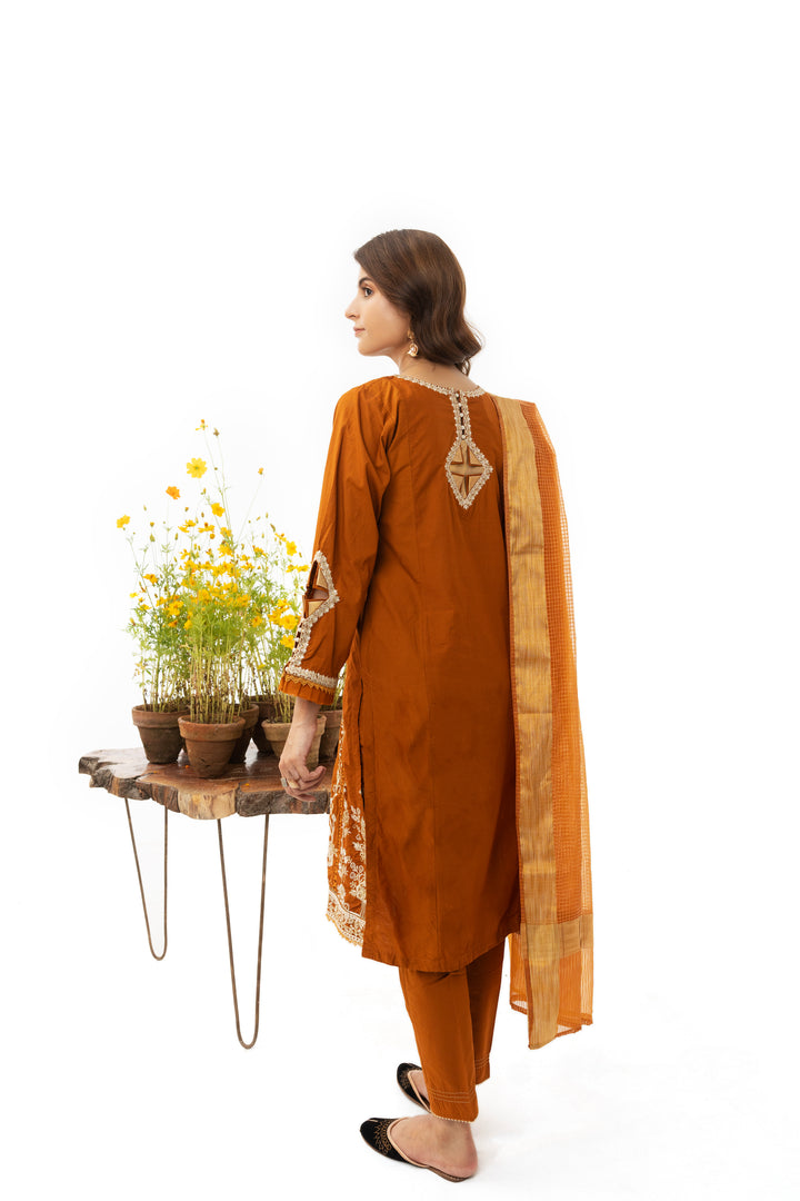 3 Piece Cotton Suit Luxury Pret - AR-2869-S23 (Nayab) - ARFARIWAJ