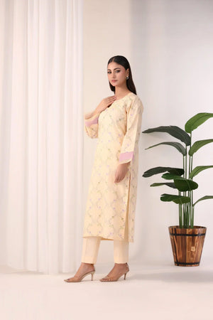 SHADAB 2PC Luxury Ready To Wear - AR-NP-03-shadab - ARFARIWAJ
